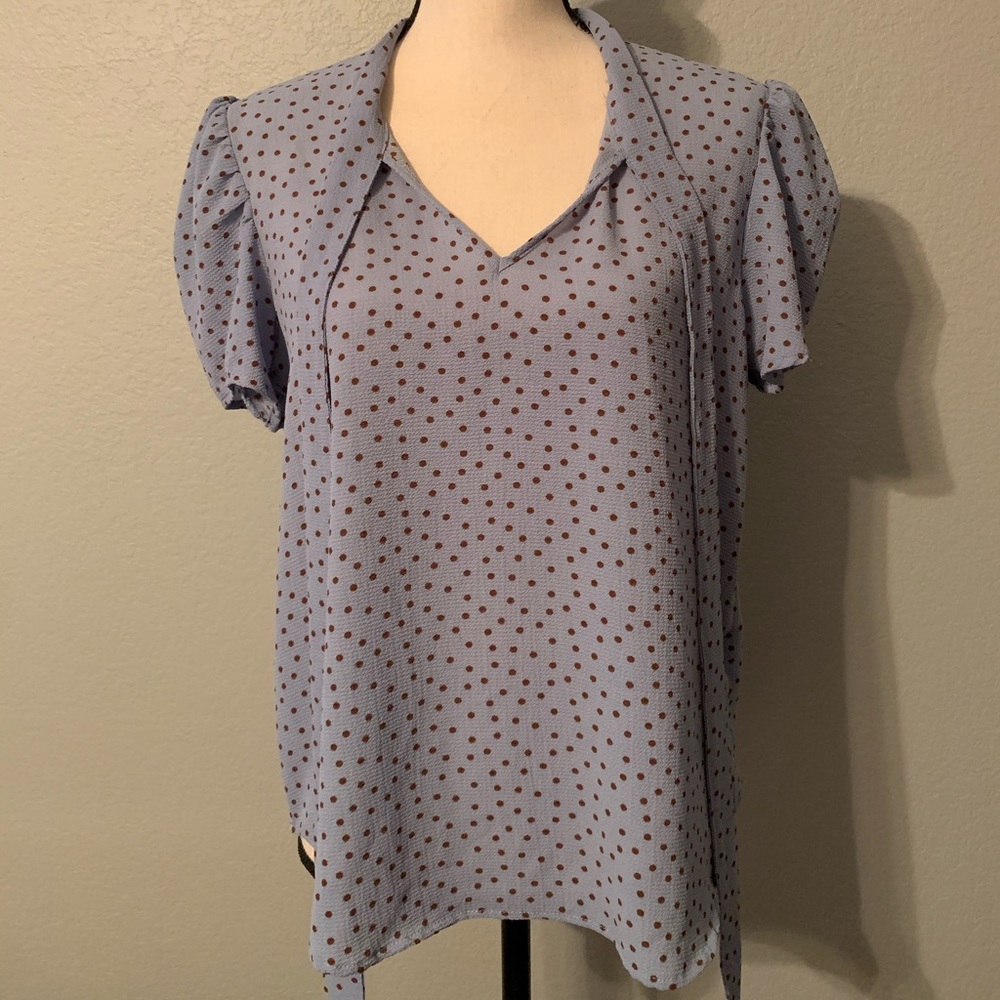 Blue Polka Dot Blouse